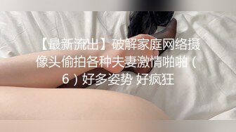 网衣骚情人