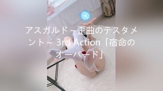 アスガルド～歪曲のテスタメント～ 3rd Action「宿命のオーバード」