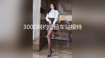 3000网约极品车站模特