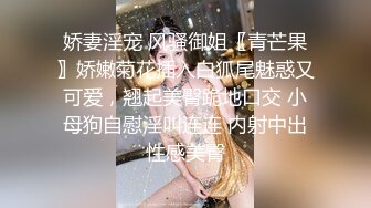 ！推特黑龙江NTR绿帽夫妻【胖猫与绿帽老公】家中安装摄像头虚空欣赏骚妻被单男爆肏，对话超级淫荡 (3)