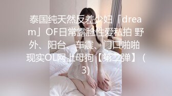  孕妇的诱惑，颜值很高就是特别骚，揉着奶子给大哥口交，主动上位摇晃大鸡巴插的好深