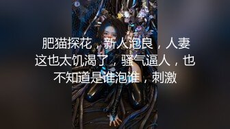 【新片速遞】 ✨✨✨【新片速遞】2022.12.10，【与熟女的故事】，大胸人妻，口活给力，粉红氛围下激情交合，骚逼浪叫止不住！！