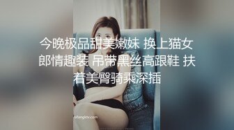 美丽骚人妻，口活很棒