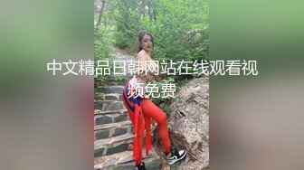 商场女厕全景后拍格子褂小妹完美的臀型以及下蹲展开的大肥鲍鱼