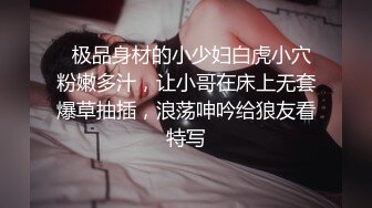 圣诞夜调教扬州人妻少妇3