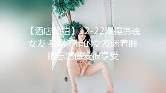 最喜欢的人妻，空姐5