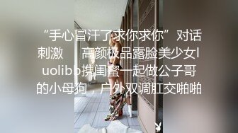 ❤泄密系列❤收藏级❤️胡子哥极限爆操气质鲜嫩少妇 完美露脸