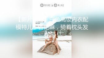 【新速片遞】 2023-11-9【模特写真拍摄丶探花】文静小美女，话比较少摆弄姿势，脱下内裤掰穴，换上性感连体网袜