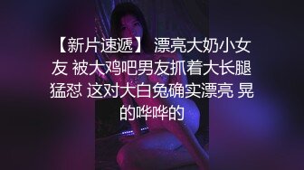 冷先生与K小姐验证视频