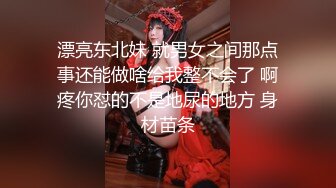 和梦魔的约会生活