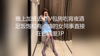 抖S麥娜會長大人被抖M筆記支配了 3