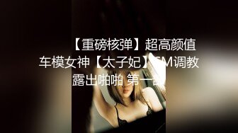 ⭐⭐⭐【重磅核弹】超高颜值车模女神【太子妃】SM调教露出啪啪 第一部