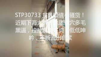 【恋哥】2023.06.03 偷拍 网恋奔现新人良家 外出游玩 开房聊天吃饭 激情无套 狂干内射 3场