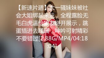 FC2PPV 1230472 【美巨乳娘】美月【同伴中出編】把高級*店妹帶到摩鐵、不管什麼體位都超淫蕩！巨乳狂搖激情大量中出【FULL ＨＤ】-字幕