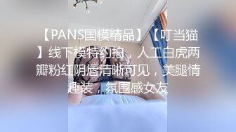 【PANS国模精品】【叮当猫】线下模特约拍，人工白虎两瓣粉红阴唇清晰可见，美腿情趣装，氛围感女友