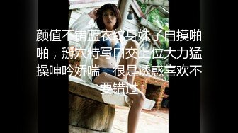 STP27229 性感女仆盲盒惊喜之主人的专属猫咪▌宸荨樱桃▌玩弄湿嫩蜜穴 肉棒好顶呀主人 肏穴契约专属小淫猫 VIP0600