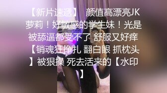 新晋探花【小星探花】高价外围，酒店偷拍大胸小姐姐，漂亮温柔体贴入微，角度专业视角完美