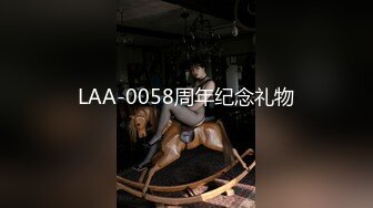 LAA-0058周年纪念礼物