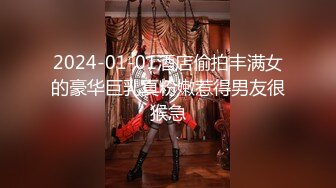 【夫妻流出】淫妻癖老公与吊钟巨乳大奶爱妻性爱自拍流出