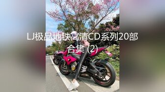 LJ极品地铁高清CD系列20部合集 (2)