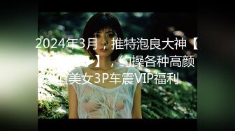 2024年3月，推特泡良大神【榜一大哥 】，约操各种高颜值美女3P车震VIP福利