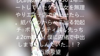 転校してしまった清楚な美少女優等生の裏に隠されたもうひとつの顔